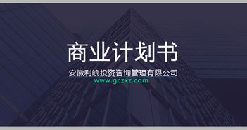 專業(yè)深耕與價(jià)值創(chuàng)新 安徽利皖投資咨詢管理服務(wù)解析